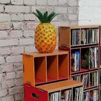 Abdeckplatte - Medienbox CD/DVD/Video